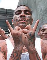 ms13-symbols