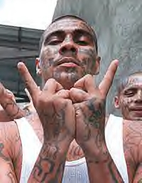 ms13-symbols