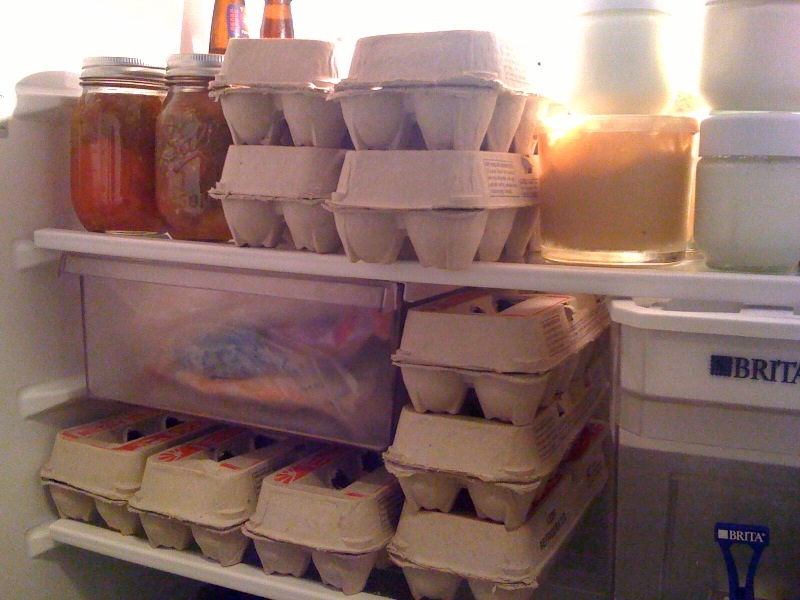 https://www.preparednesspro.com/sites/default/files/eggs-in-fridge.jpg