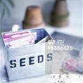 seed box