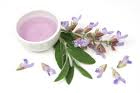 essential oils