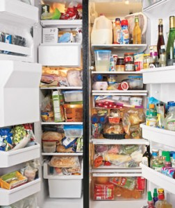 Refrigerator Strategies | Preparedness Pro