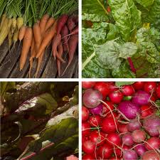 Gardening Skills PreparednessPro.com Greens Produce